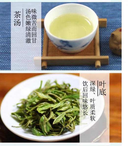 2021高山雪青绿茶/崂山雪芽 (散装茶) 零售价:260元/500克 今日出厂价:99元/500克